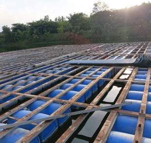 Thu Mua Xác Nhà Minh Khuê – Dịch Vụ Chuyên Nghiệp, Nhanh Chóng, Giá Cao Tại Bình Dương